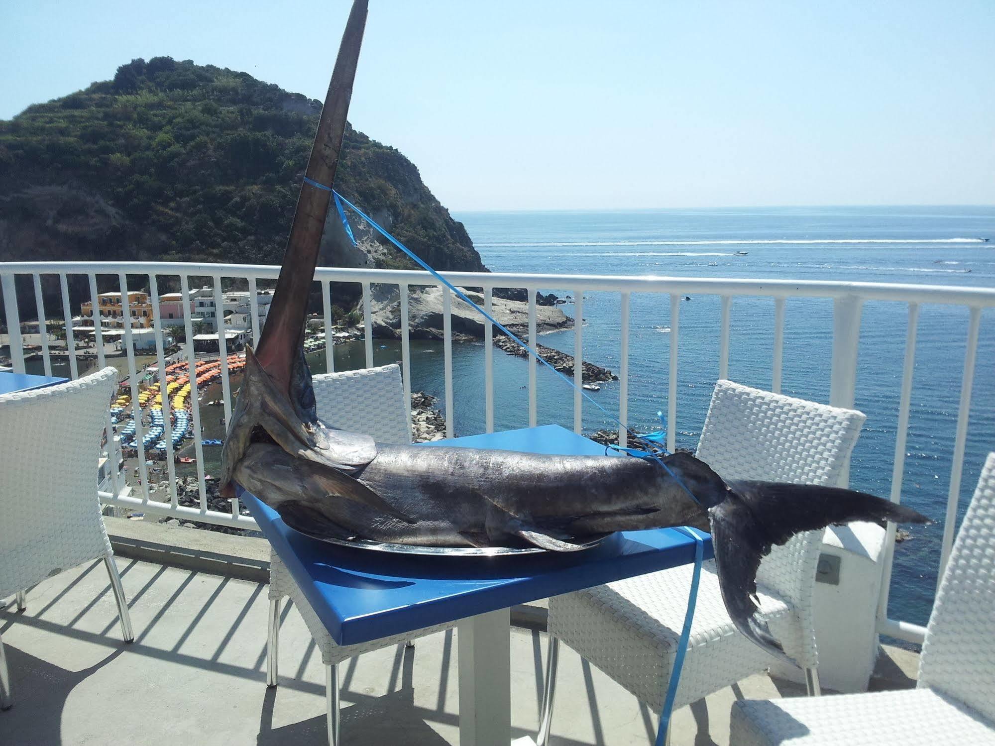 Hotel Villa Sirena Sant'Angelo  ภายนอก รูปภาพ